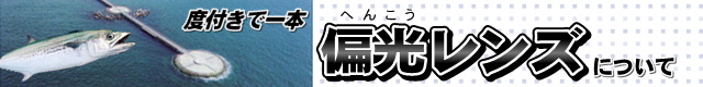 ΌY̌
